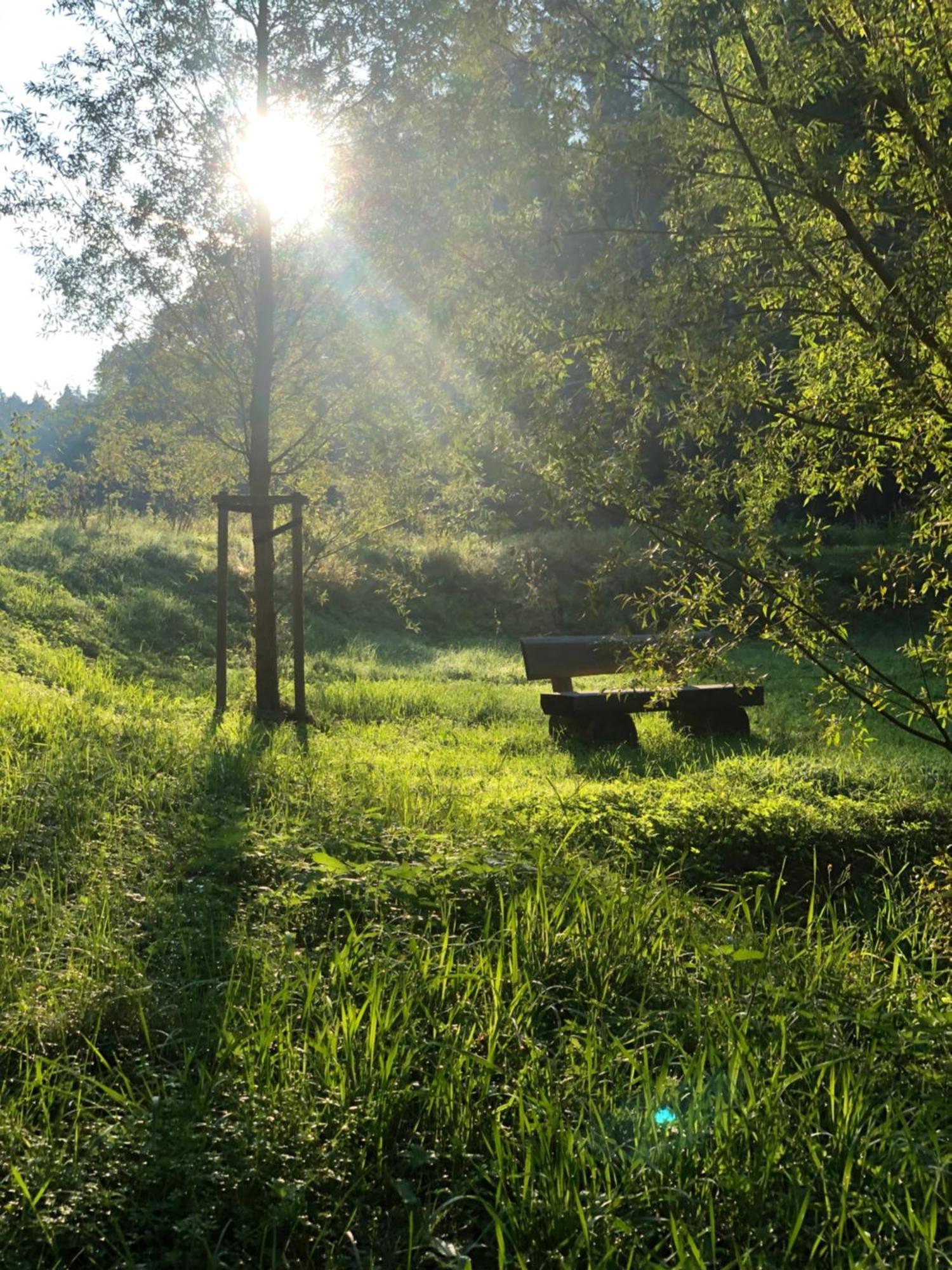 Waldhotel Linzmuehle Kahla  Exteriér fotografie
