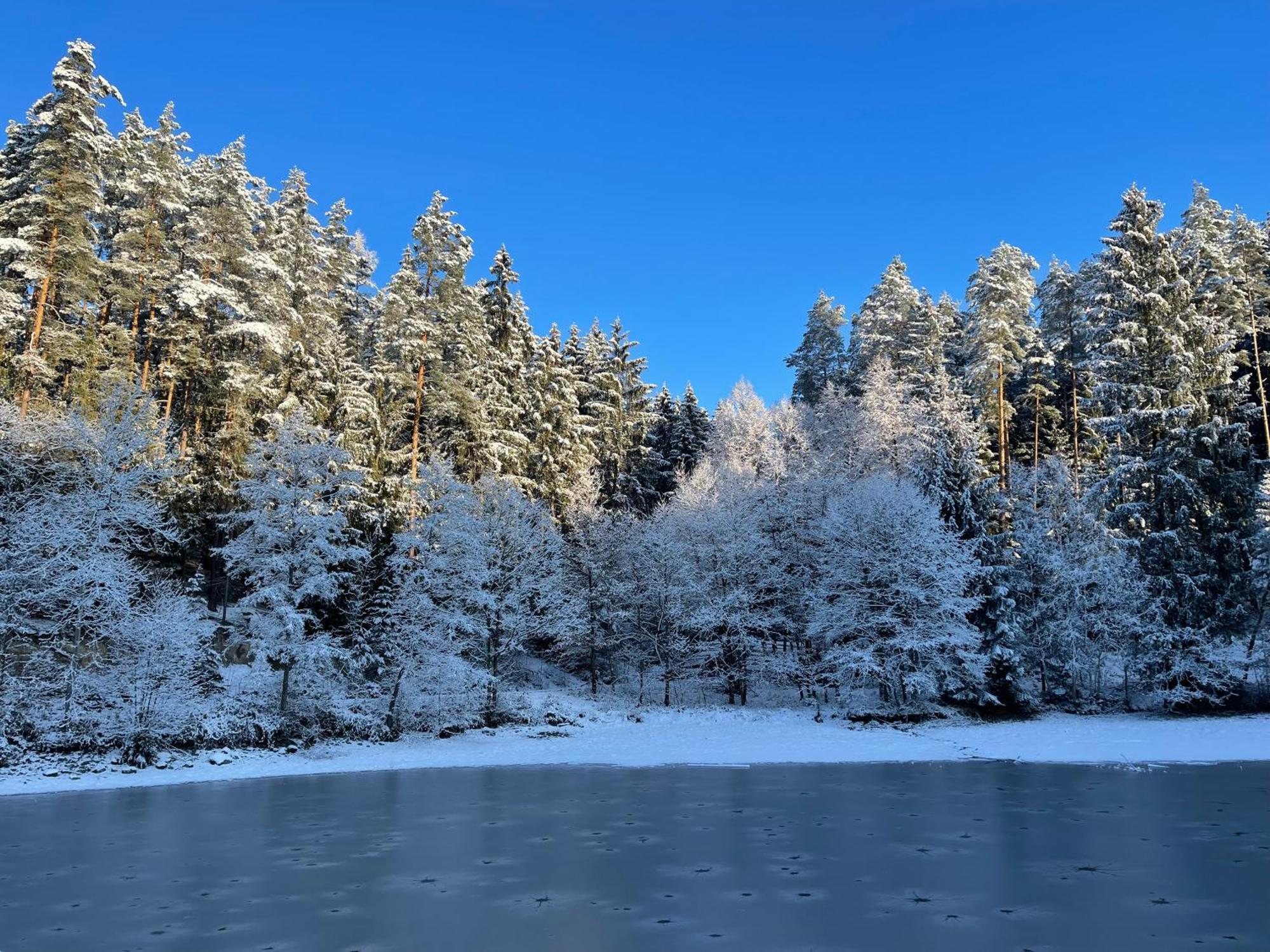 Waldhotel Linzmuehle Kahla  Exteriér fotografie