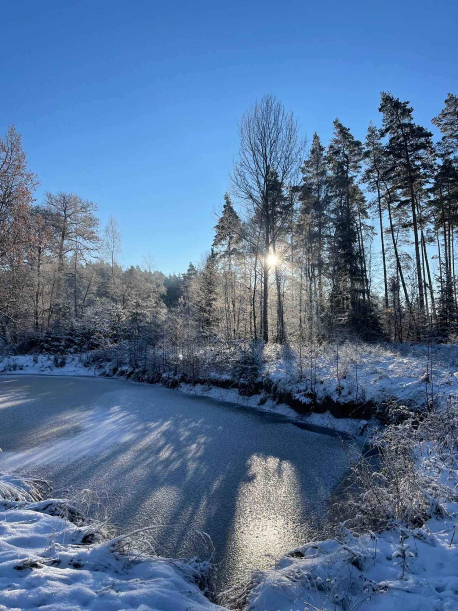 Waldhotel Linzmuehle Kahla  Exteriér fotografie