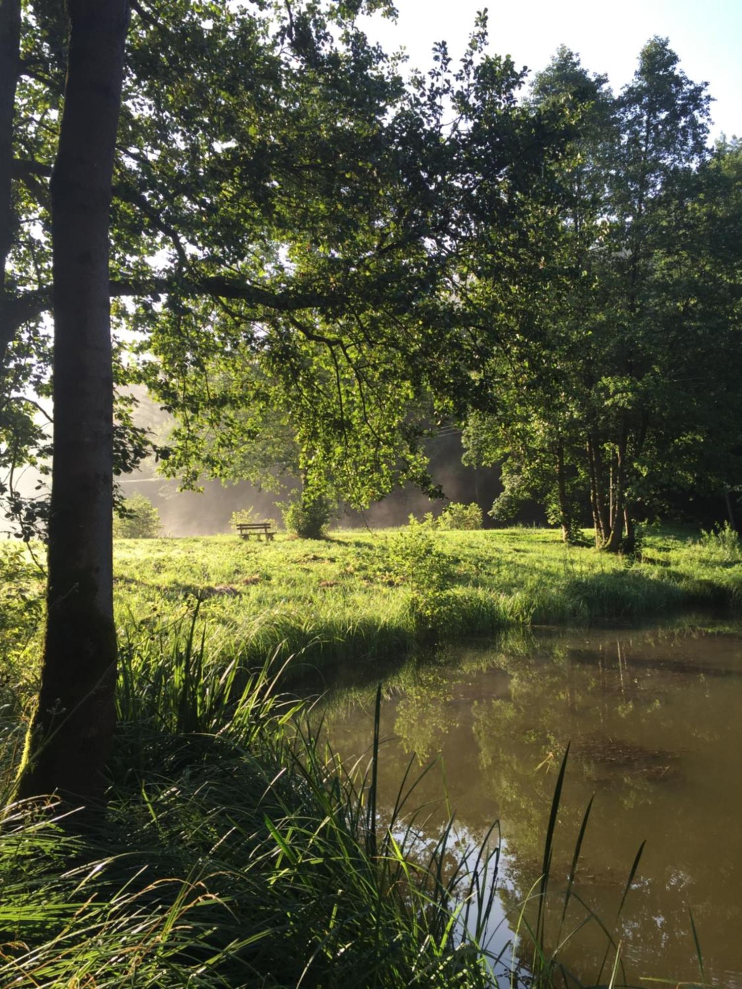 Waldhotel Linzmuehle Kahla  Exteriér fotografie