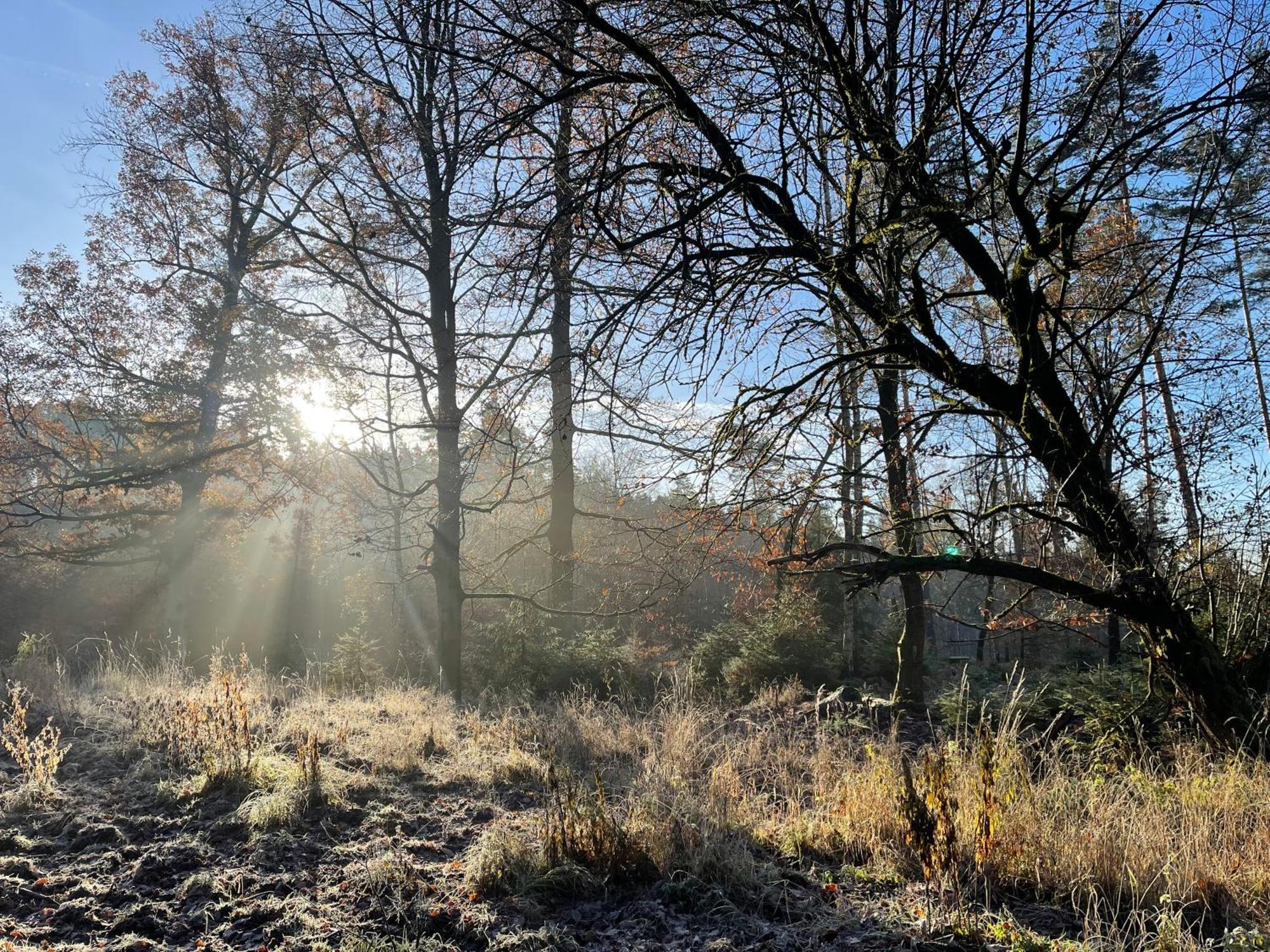 Waldhotel Linzmuehle Kahla  Exteriér fotografie
