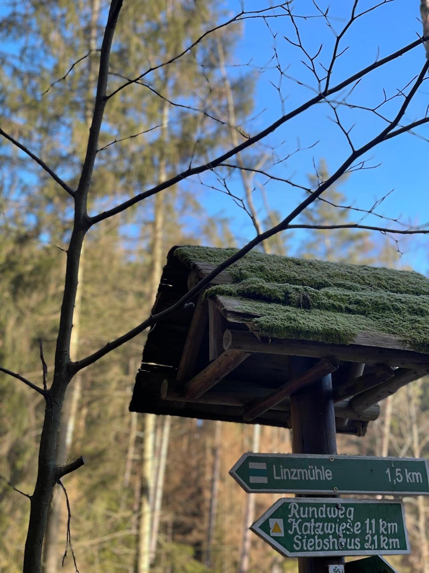 Waldhotel Linzmuehle Kahla  Exteriér fotografie